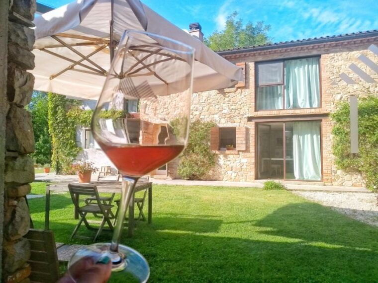 olive-oil-wine-in-the-euganean-hills-from-terme