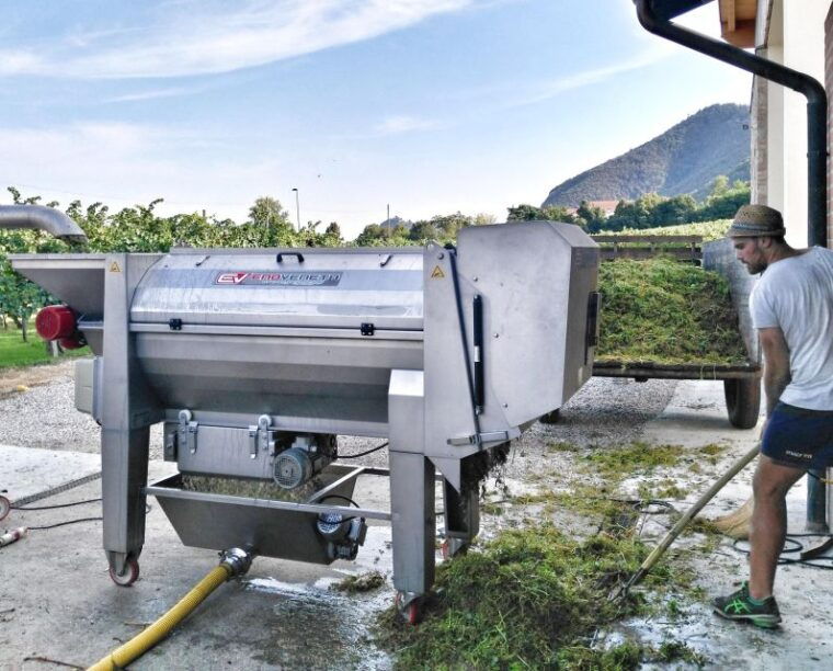 olive-oil-wine-in-the-euganean-hills-from-terme