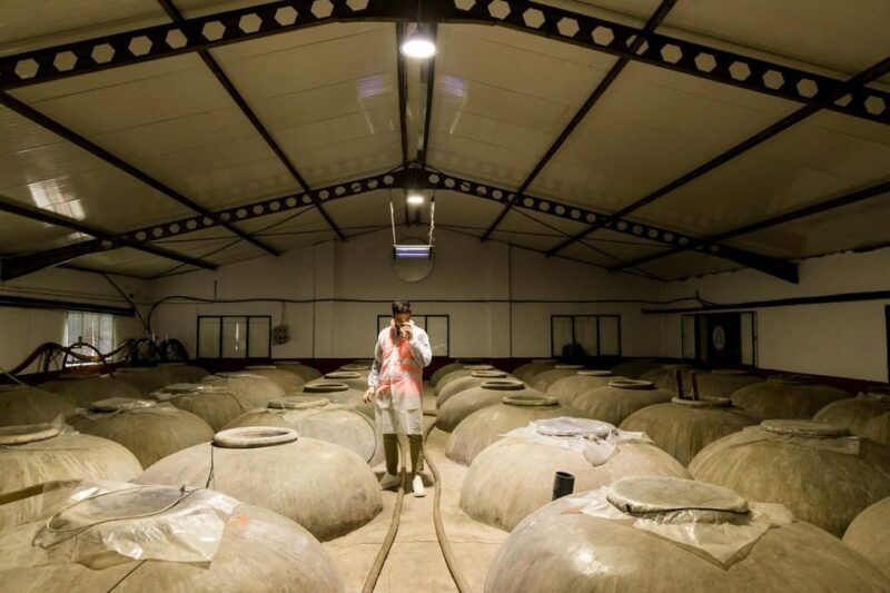 olive-oil-wine-tour-organic-fields-5-wines-3olive-oils