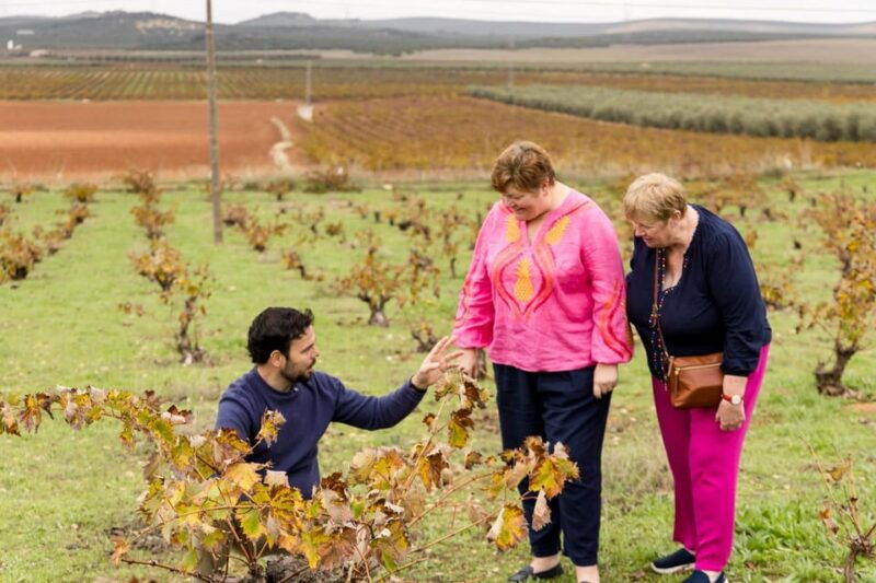 olive-oil-wine-tour-organic-fields-5-wines-3olive-oils
