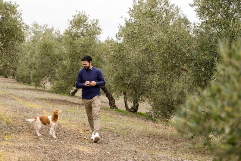 olive-oil-wine-tour-organic-fields-5-wines-3olive-oils