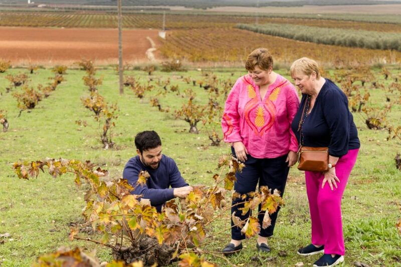 olive-oil-wine-tour-organic-fields-5-wines-3olive-oils
