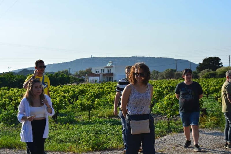 Olives & Olive Oil & Wine Tasting (3 in 1 Experience!) - Practical Details and Considerations