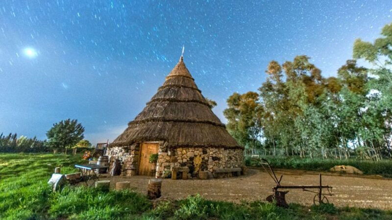 olmedo-saffron-workshop-with-shepherd-and-tasting