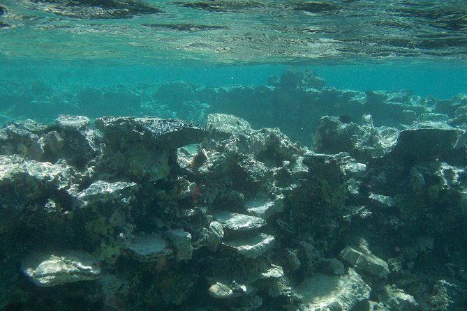 olous-guided-snorkelling-excursion-to-discover-olous-sunken-ancient-city