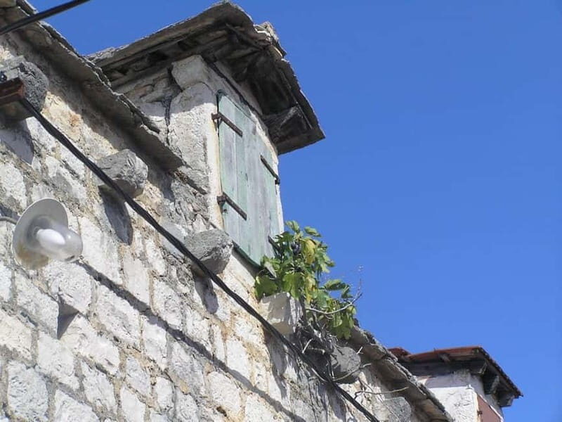 olta Island: Self-Guided Bike Tour - Price and Value