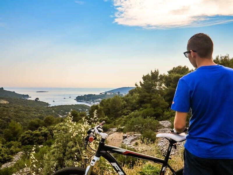 olta Island: Self-Guided Bike Tour - Final Thoughts