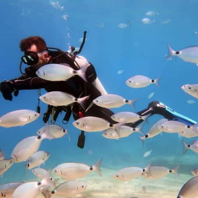 Oludeniz Half Day Scuba Diving Program - How This Tour Fits Into Your Overall Trip