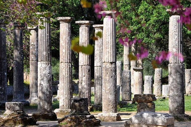 olympia-shore-ex-ancient-olympia-honey-farm-olive-oil-tasting