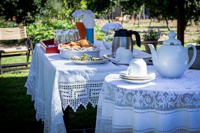 olympia-shore-ex-ancient-olympia-honey-farm-olive-oil-tasting
