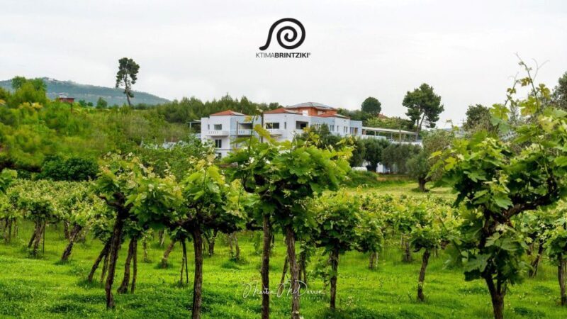 Olympia Treasures: Private Oil, Honey and Wine Tasting Tour - FAQ