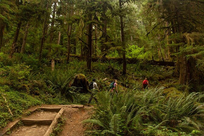 olympic-full-day-private-tour-and-hike