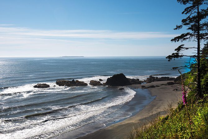 Olympic National Park Day Tour from Seattle - Why This Tour Delivers Value