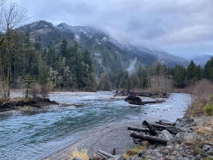 Olympic National Park: Half-Day Tour - Exploring the Itinerary in Detail