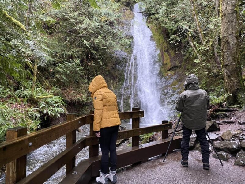 Olympic National Park: Half-Day Tour - Final Thoughts: Who Should Consider This Tour?