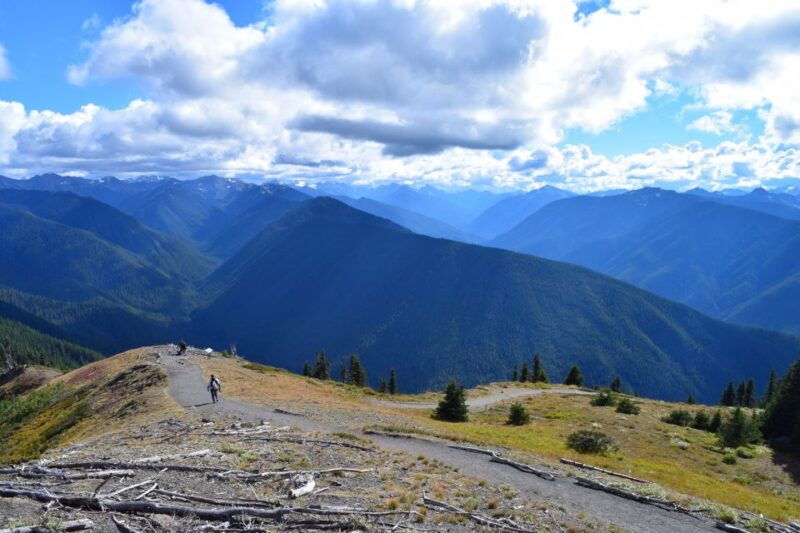olympic-national-park-sol-duc-and-hurricane-ridge-tour