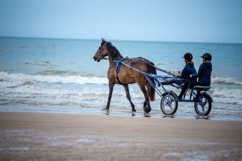 omaha-beach-sulky-baptism-on-the-beach