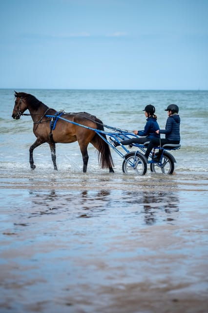 omaha-beach-sulky-baptism-on-the-beach