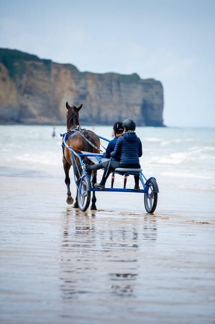 omaha-beach-sulky-baptism-on-the-beach