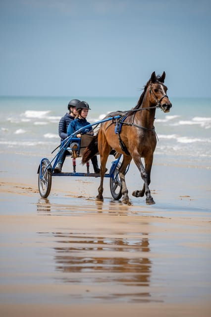 omaha-beach-sulky-baptism-on-the-beach
