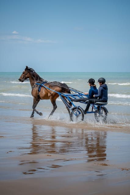omaha-beach-sulky-baptism-on-the-beach