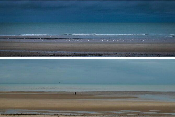 Omaha Highlights Tour with a DDAY expert from Bayeux - The Experience Through Reviewers’ Eyes  