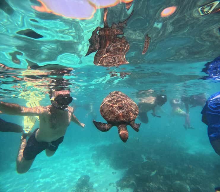 Oman: Daymaniyat Island Snorkeling Trip with Equipment - Key Points
