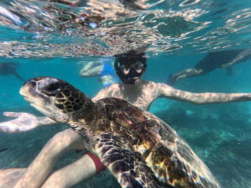 Oman Muscat: Snorkeling Adventure at Dimaniyat Islands - Key Points