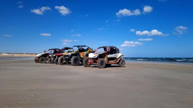 Oman Wahiba Sands ATV Safari: 400 KM Full-Day Loop to Beach - Key Points