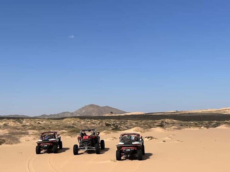 Oman Wahiba Sands ATV Safari: 400 KM Full-Day Loop to Beach - Final Thoughts: Is This Tour Worth It?