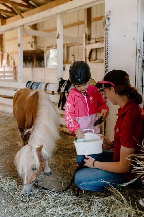 omemee-a-playdate-with-a-pony-2