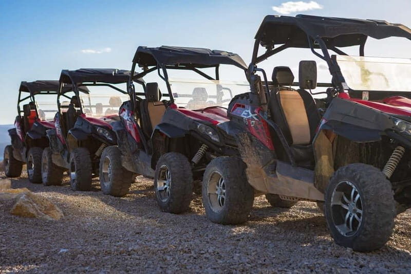 Omi: 2-Person Buggy Tour with Lunch and Wine Tasting - An In-Depth Look at the Experience