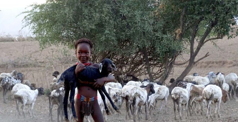 Omo Valley Experience Tours 4 Days - Key Points