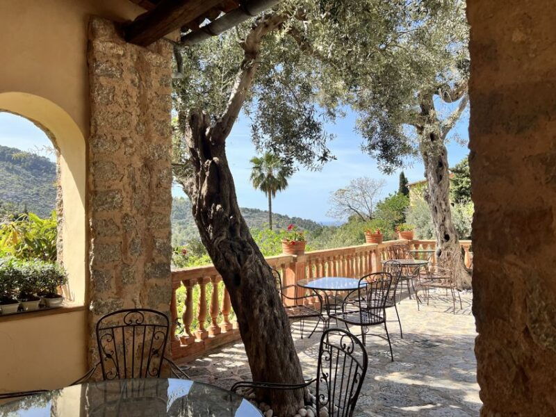 on-the-trail-of-miro-in-mallorca