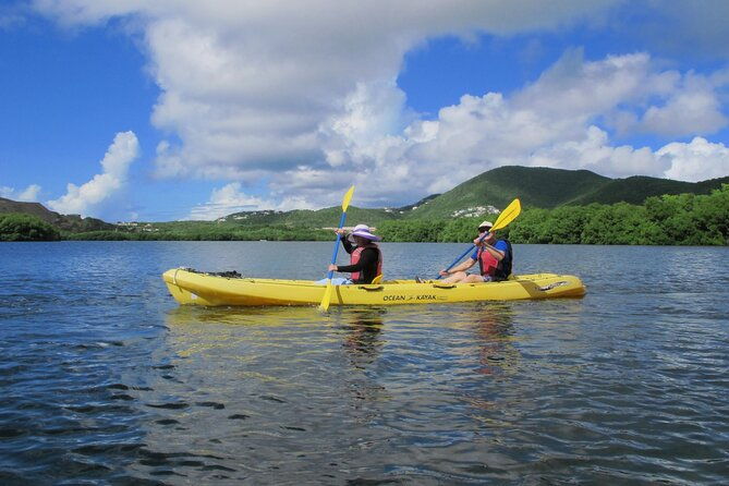 on-your-own-kayak-in-the-mangrove-lagoon