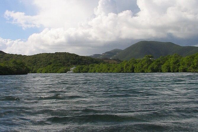 on-your-own-kayak-in-the-mangrove-lagoon