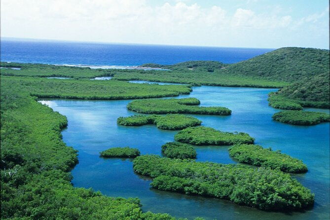 on-your-own-kayak-in-the-mangrove-lagoon