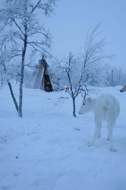 Once-in-a-lifetime Snowmobile Safari to Lapland Viewpoint - FAQ
