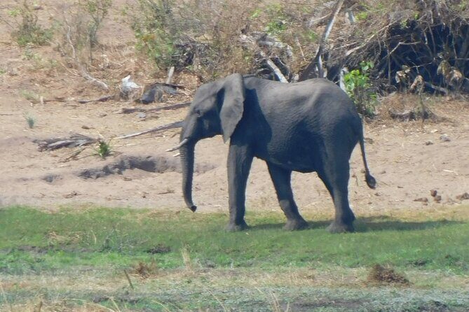 One Day Akagera Safari From Kigali - FAQ