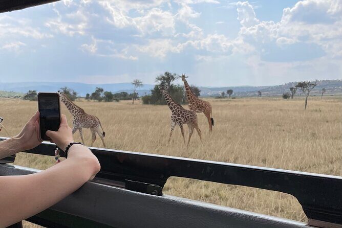 One Day Akagera Wildlife Safari - What We Love About the Experience
