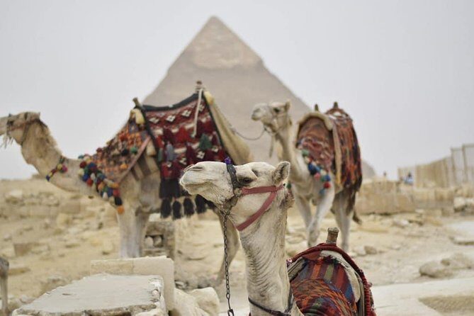 One day Cairo pyramids tour from Hurghada with small group - A Practical Guide to the Cairo Pyramids Tour from Hurghada