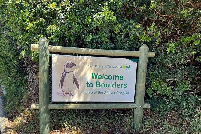 One Day Cape of Good and Penguin Colony Expedition from Cape Town - Key Points