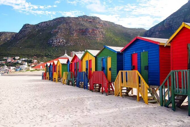 One Day Cape of Good and Penguin Colony Expedition from Cape Town - The Practical Side: What You Need to Know