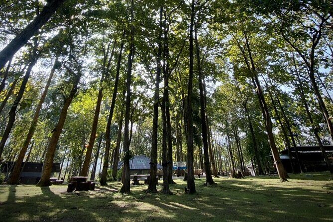 One day Doi Suthep Temple, Longneck hill tribe & Sticky waterfall - Final Thoughts: Who Is This Tour Best For?