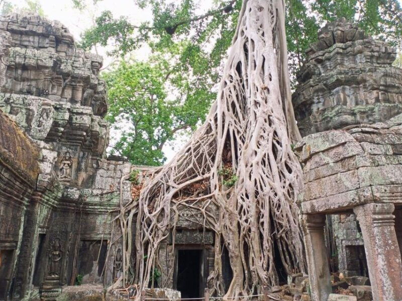 one-day-exploration-to-angkor-wat-angkor-thom-ta-prohm