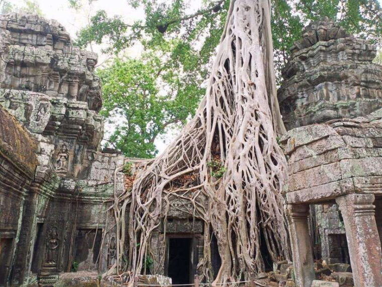 one-day-exploration-to-angkor-wat-angkor-thom-ta-prohm