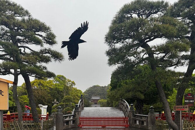 one-day-fully-customize-the-tour-for-kamakura-and-yokohama