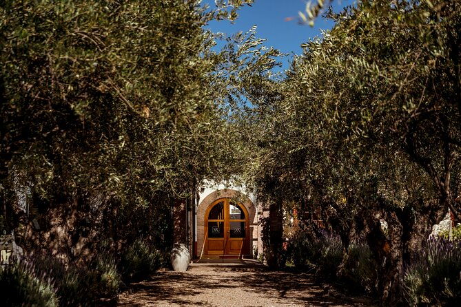 one-day-grapes-on-the-edge-uco-valley-wine-tour