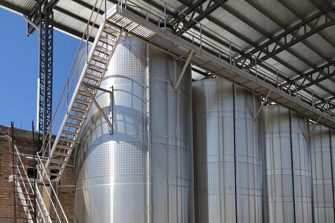 one-day-grapes-on-the-edge-uco-valley-wine-tour