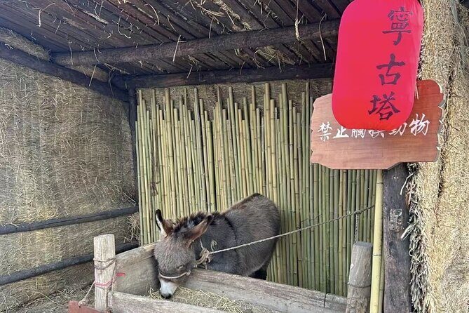 One Day Harbin Winter Expedition Jingpo Lake Sunrise and Fishing - Final Thoughts